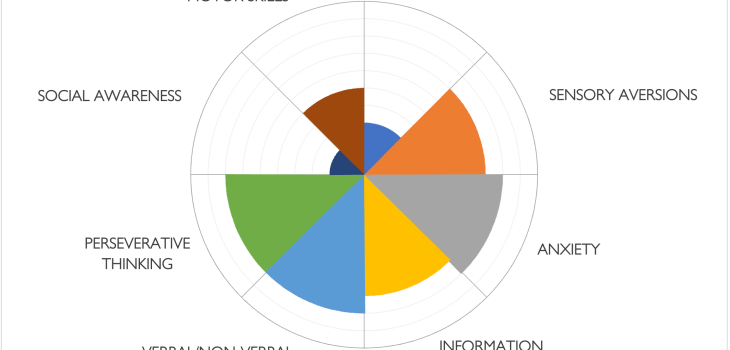Autism spectrum wheel showing an example autistic individual profile