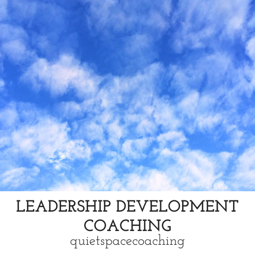 Clickable icon linking to leadership development coaching service description page